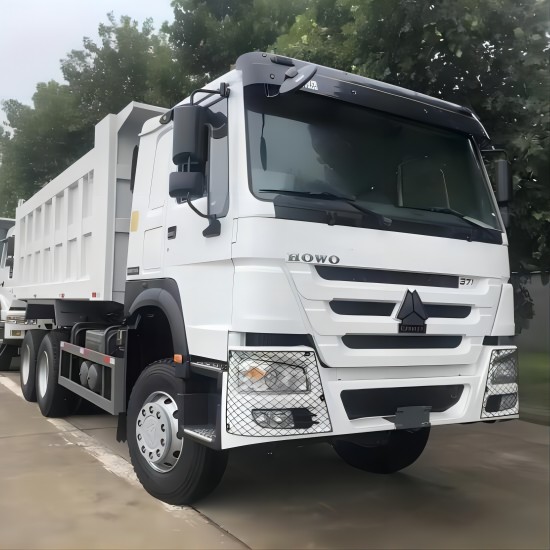 HOWO 10 Wheel Dump Truck Trailer